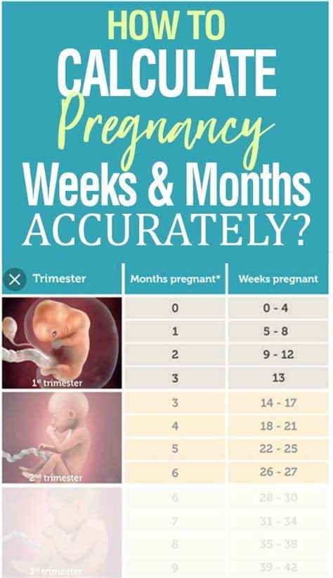 how-likely-am-i-to-get-pregnant-calculator-steka